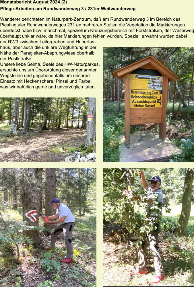 Monatsbericht August 2024 (2) Pflege-Arbeiten am Rundwanderweg 3 / 231er Weitwanderweg   Wanderer berichteten im Naturpark-Zentrum, daß am Rundwanderweg 3 im Bereich des Piestingtaler Rundwanderweges 231 an mehreren Stellen die Vegetation die Markierungen überdeckt habe bzw. manchmal, speziell im Kreuzungsbereich mit Forststraßen, der Weiterweg überhaupt unklar wäre, da hier Markierungen fehlen würden. Speziell erwähnt wurden dabei der RW3 zwischen Leitergraben und Hubertus- haus, aber auch die unklare Wegführung in der  Nähe der Paragleiter-Absprungwiese oberhalb  der Postlstraße. Unsere liebe Selma, Seele des HW-Naturparkes,  ersuchte uns um Überprüfung dieser genannten  Wegstellen und gegebenenfalls um unseren  Einsatz mit Heckenschere, Pinsel und Farbe,  was wir natürlich gerne und unverzüglich taten.